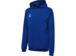 Hmlauthentic pl hoodie