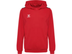 Hmlauthentic pl hoodie kids