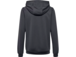 Hmlauthentic pl hoodie kids