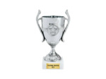 Coupe economique argent hauteur 15