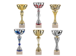 Lot de 6 coupes 2023 h moy 35,80cm