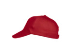 Texas bull cap