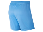 WOMEN'S NIKE DRI-FIT PARK III SHORT