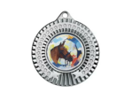 Medaille fer diam45mm argent