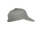 Texas bull cap
