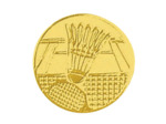 Pb 7 badminton alu 25mm