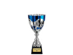 Coupe class arg/bleu h 40cm d 180mm