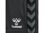Hmlauthentic pl shorts