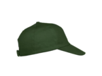 Texas bull cap
