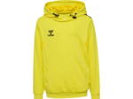 Hmlauthentic pl hoodie kids