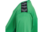 Hmlauthentic pl jersey s/s woman