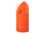 Basic t v neck