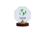 Trophee verre personnalisable trans