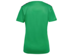 Hmlauthentic pl jersey s/s woman