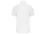 Chemise popeline manches courtes