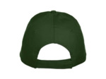 Texas bull cap