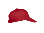 Texas bull cap