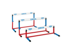 Lot de 6 mini-haies scolaires e.p.s. 45 cm
