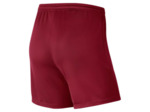 WOMEN'S NIKE DRI-FIT PARK III SHORT