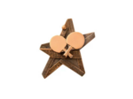 Applique resine etoile equitation h