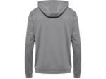 Hmlauthentic pl hoodie