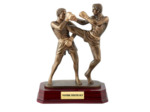 Trophee resine kickboxing h. 24 cm