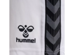 Hmlauthentic pl shorts