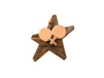 Applique resine etoile equitation h