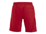 Hollis shorts