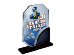 Trophee plexi epaiss 15mm h.25 cm