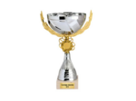 Coupe classique argent/or hauteur 2