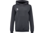 Hmlauthentic pl hoodie kids