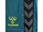 Hmlauthentic pl shorts