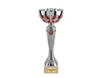 Coupe eco arg/rouge h 25cm d 100mm