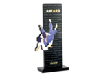 Trophee acrylique personnalisable n