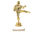 Trophee sujet plas or karate h 15cm