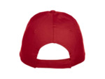 Texas bull cap