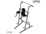 Chaise romaine et barre de traction