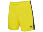 Hmlauthentic pl shorts