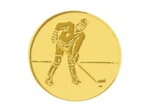 Pb 53 hockey glace alu 25mm