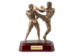 Trophee resine kickboxing h. 24 cm