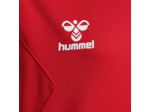 Hmlauthentic pl hoodie kids