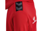 Hmlauthentic pl hoodie kids
