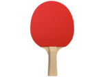 Raquette de ping pong  sport 100