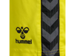 Hmlauthentic pl shorts woman
