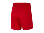 WOMEN'S NIKE DRI-FIT PARK III SHORT