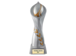 Trophee resine trophee rugby h.35 cm