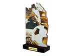 Trophee bois football h 22 cm