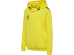 Hmlauthentic pl hoodie kids