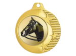Medaille fer 40mm or